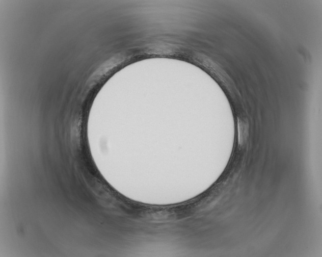 X0000111950675200909071320