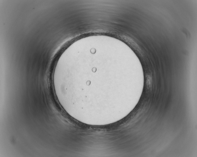 X0000111950676200909071320