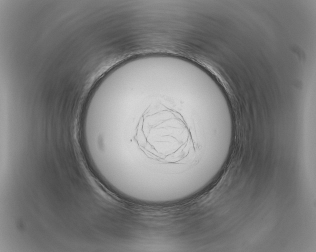X0000111950677200909071320