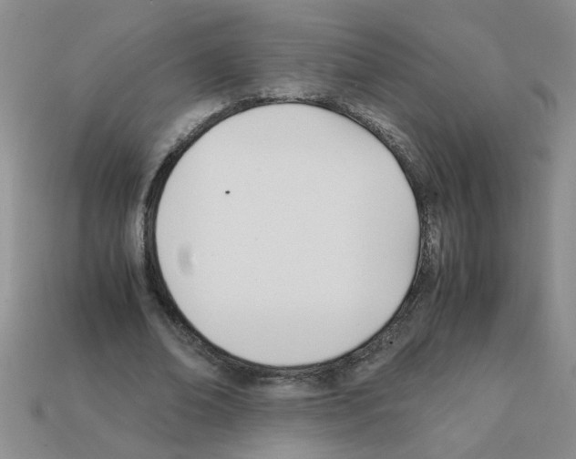 X0000111950678200909071320