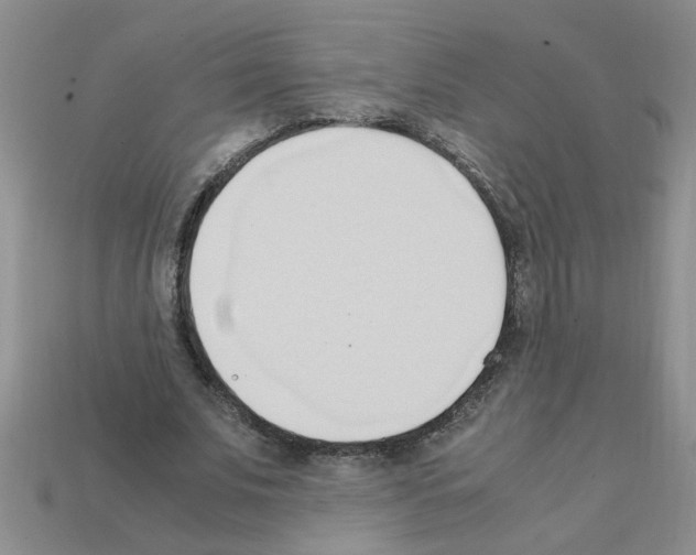 X0000111950679200909071320