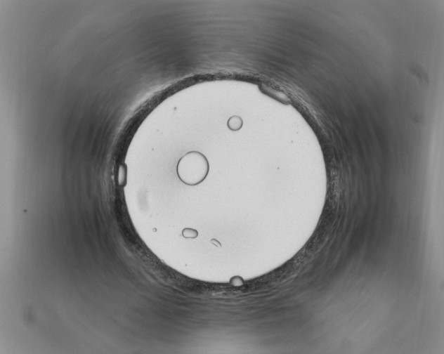 X0000111950680200909071320