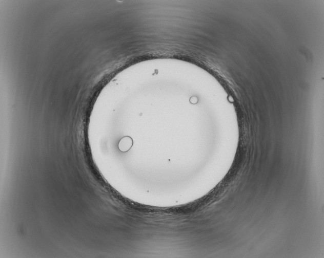 X0000111950681200909071320