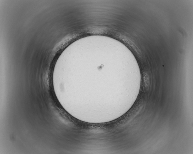 X0000111950682200909071320
