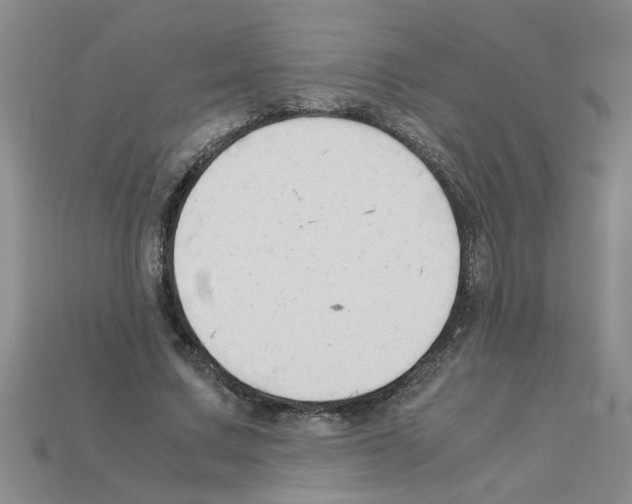 X0000111950683200909071320