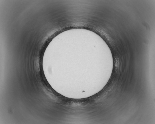 X0000111950684200909071320