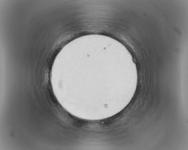 X0000111950685200909071320