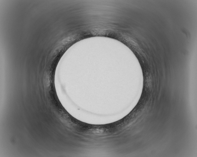 X0000111950687200909071320