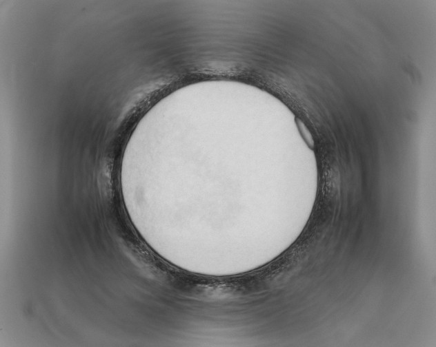X0000111950688200909071320