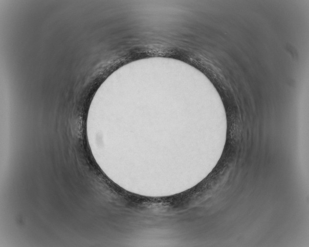 X0000111950689200909071320