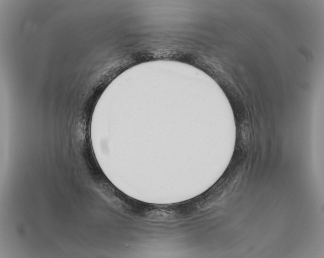X0000111950691200909071320