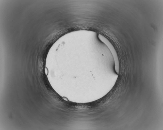 X0000111950693200909071320