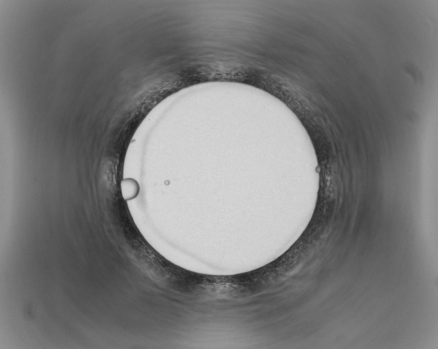 X0000111950695200909071320