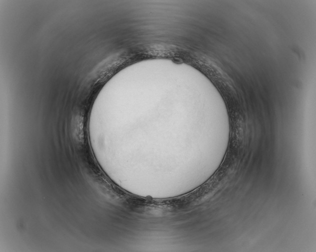 X0000111950696200909071320
