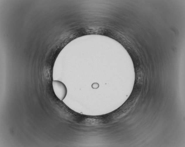 X0000111950699200909071320