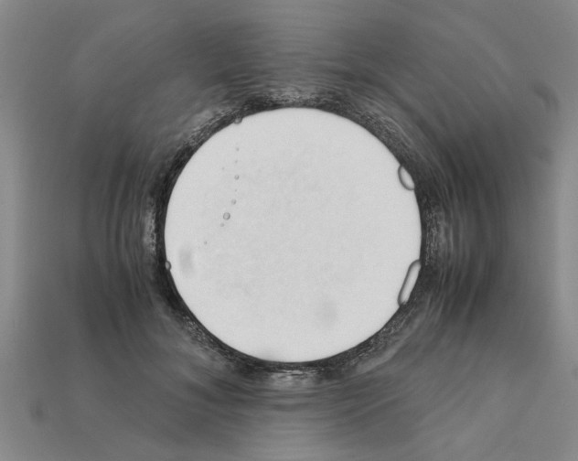 X0000111950700200909071320