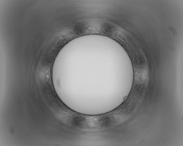 X0000111950701200909071320