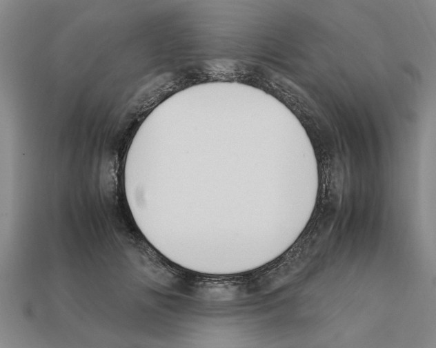 X0000111950702200909071320