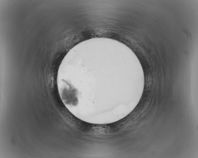 X0000111950703200909071320