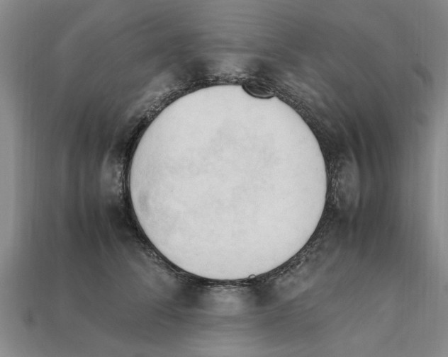 X0000111950708200909071320