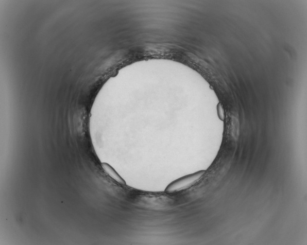 X0000111950712200909071320