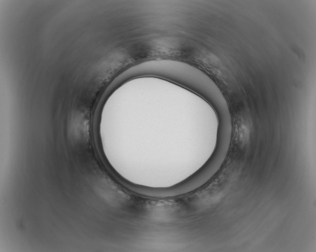 X0000111950716200909071320