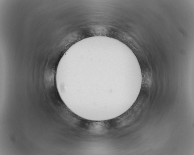 X0000111950717200909071320