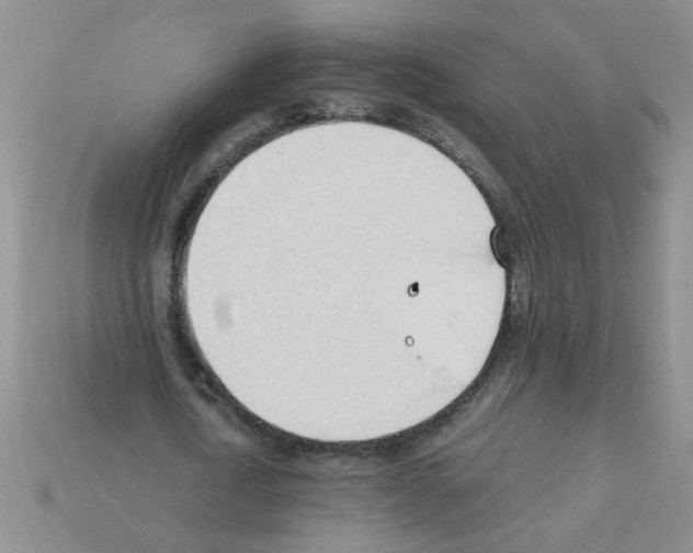 X0000111950722200909071319
