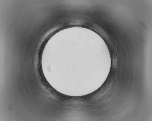 X0000111950724200909071319