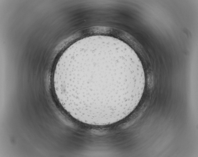X0000111950725200909071319