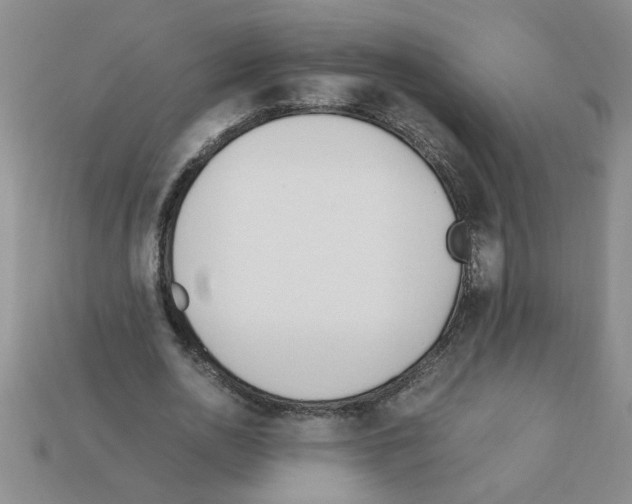 X0000111950726200909071319