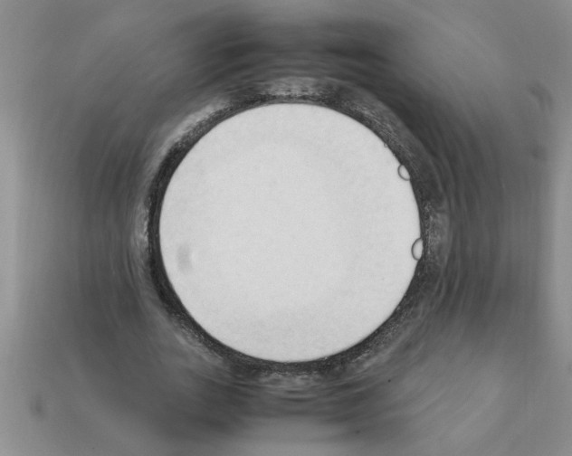 X0000111950727200909071319