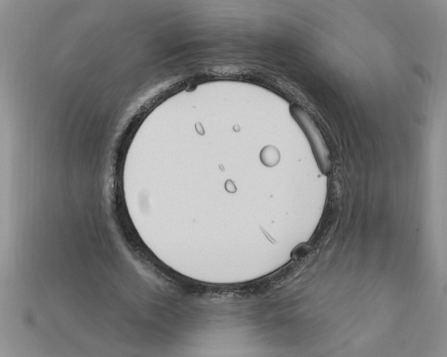X0000111950728200909071319