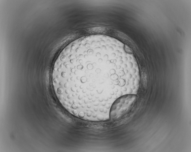 X0000111950729200909071319
