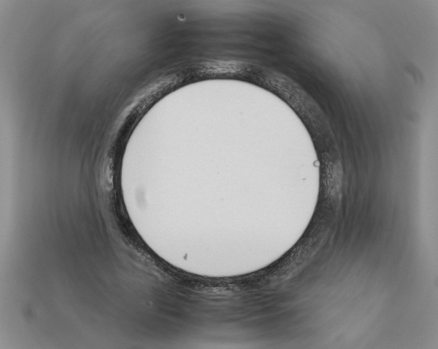 X0000111950731200909071319