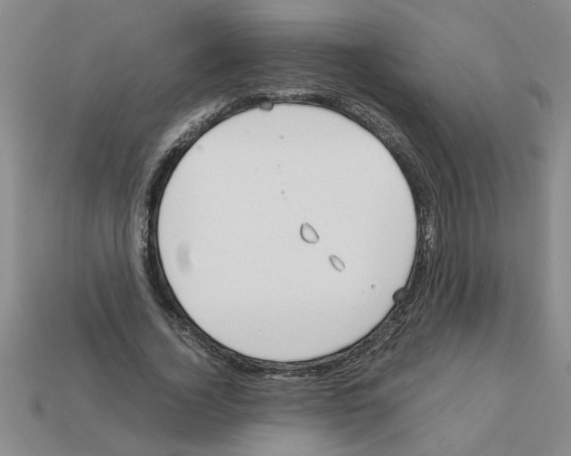 X0000111950732200909071319