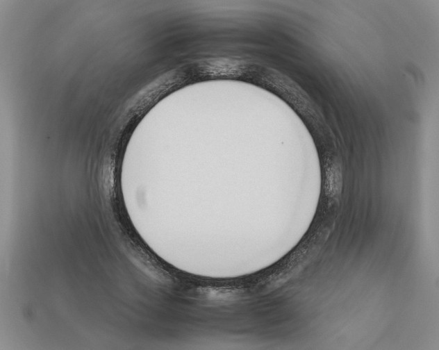 X0000111950733200909071319