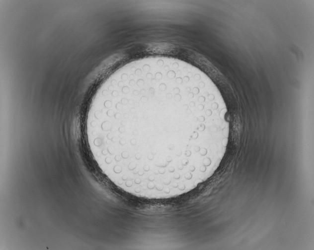 X0000111950734200909071319