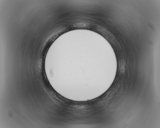 X0000111950735200909071319