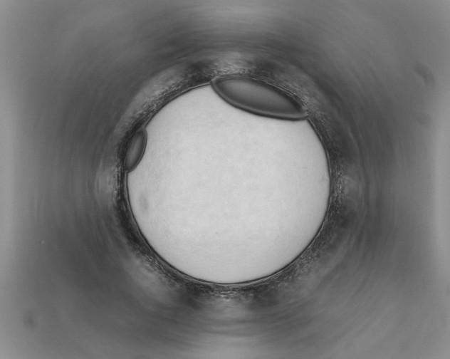 X0000111950736200909071319