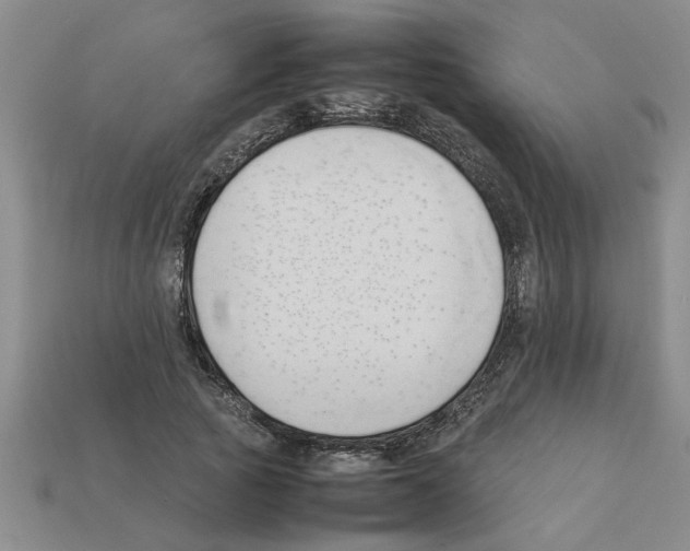 X0000111950737200909071319