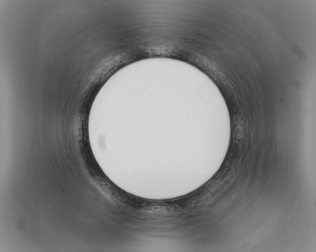 X0000111950738200909071319