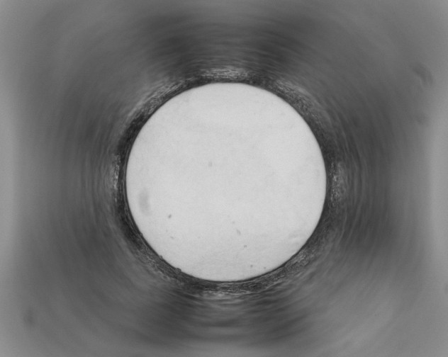 X0000111950739200909071319