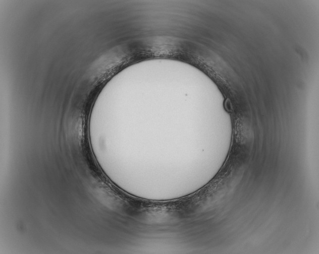 X0000111950740200909071319