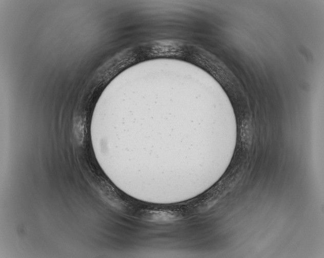 X0000111950741200909071319