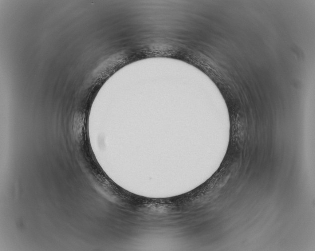 X0000111950742200909071319