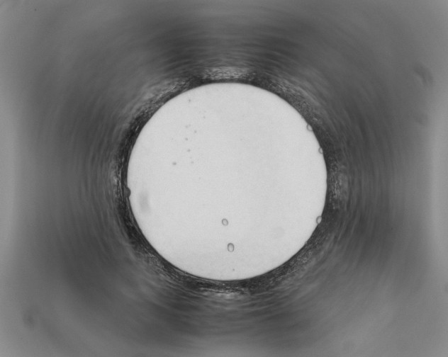X0000111950743200909071319