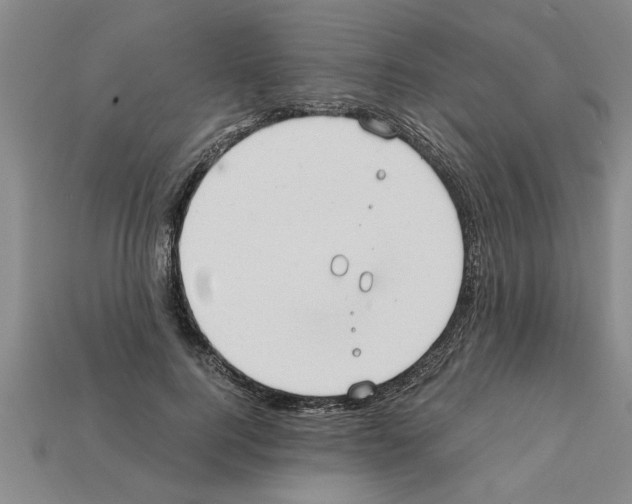 X0000111950744200909071319