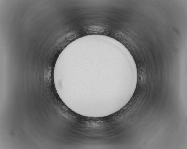 X0000111950745200909071319