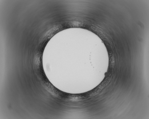 X0000111950746200909071319